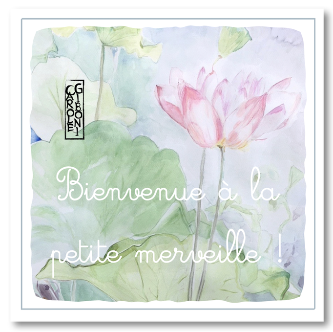 Pour une petite merveille CA27