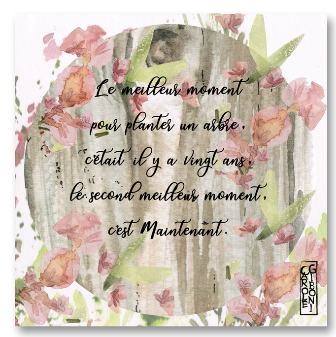 Le meilleur moment CA19