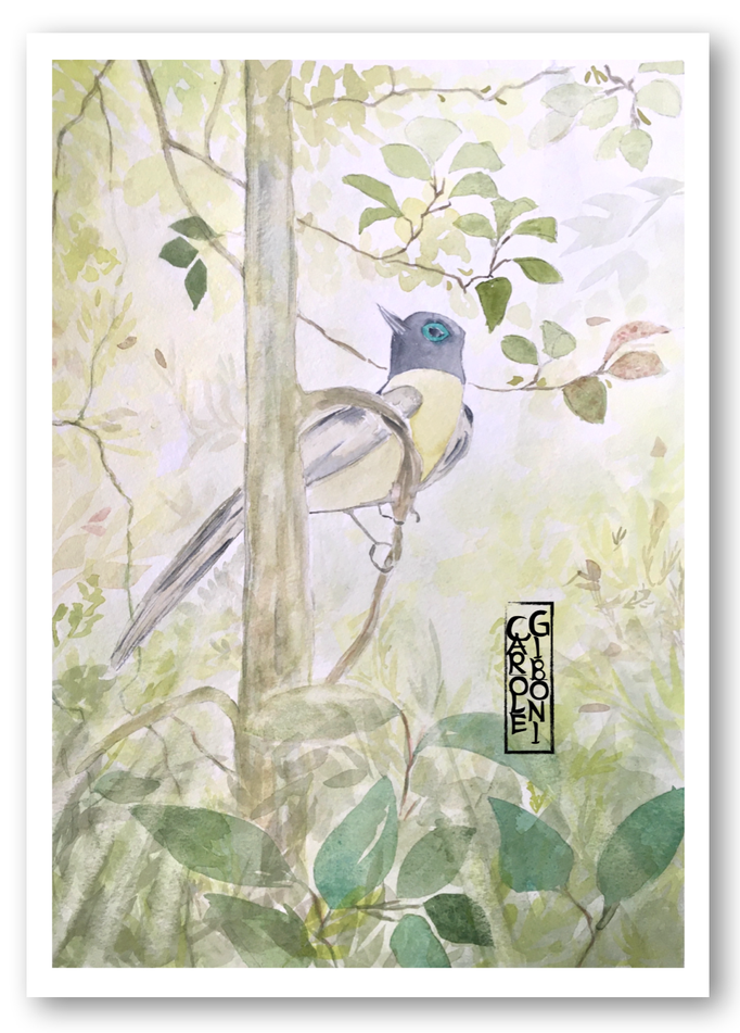 L'oiseau rare PO06