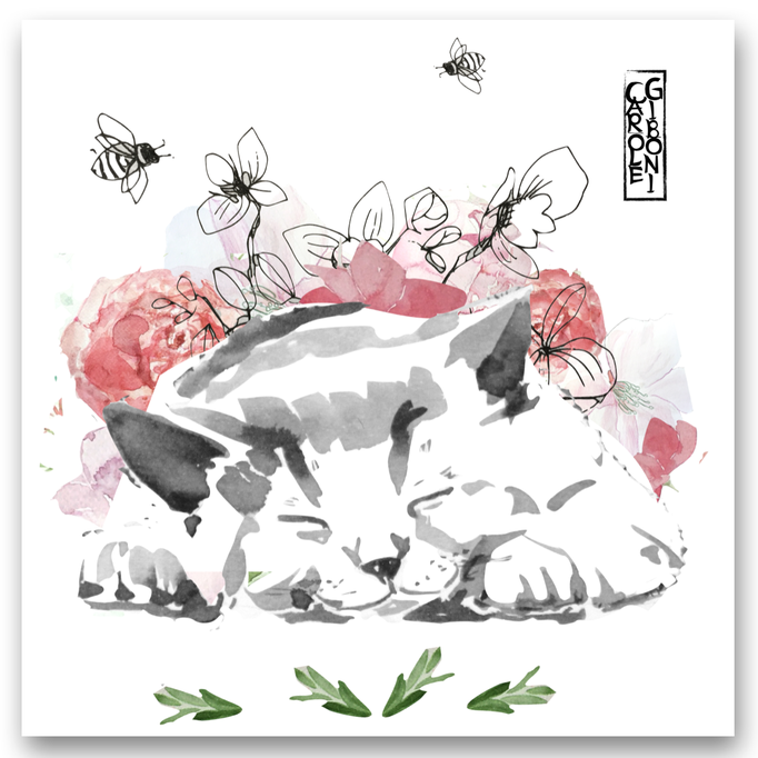 Petit chat heureux CA26