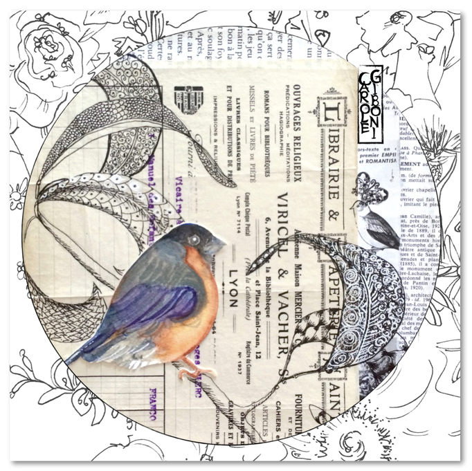 L'oiseau libraire CA25