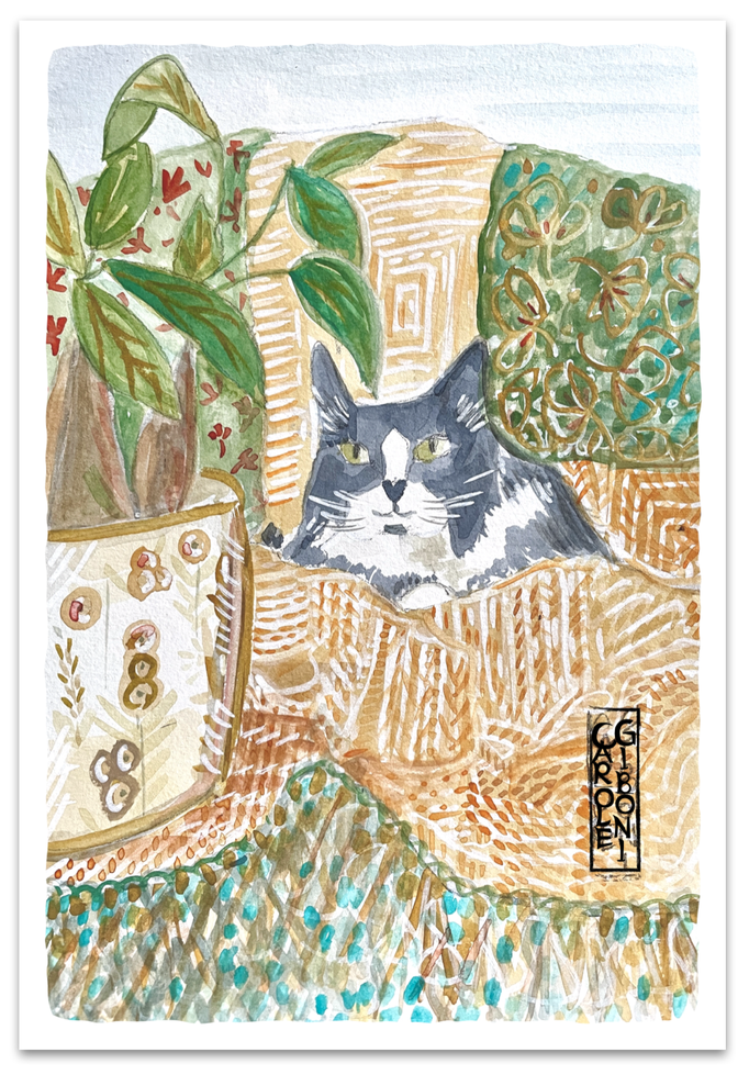 Chat cocoon PO36