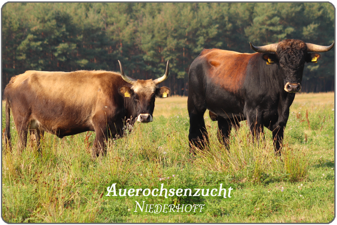 Über Biohof Niederhoff 