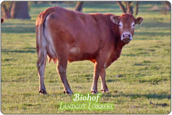 Über Biohof Löbbeke