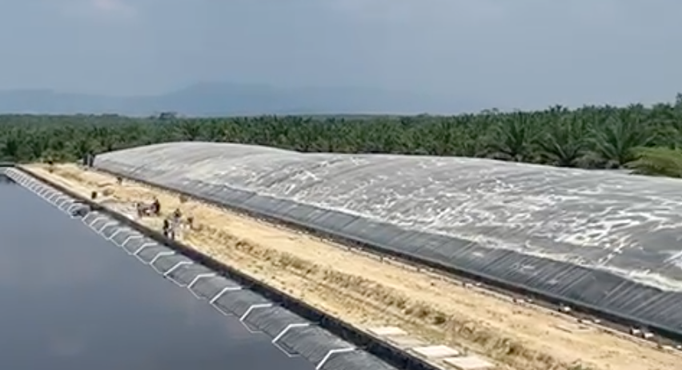Proyecto Chiquibul - Aprovechamiento de POME Guatemala - Biodigestor - BIOGAS Aqualimpia Engineering / Alemania