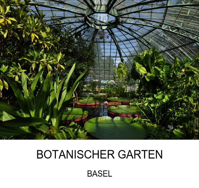 Ausflugsziel: Botanischer Garten