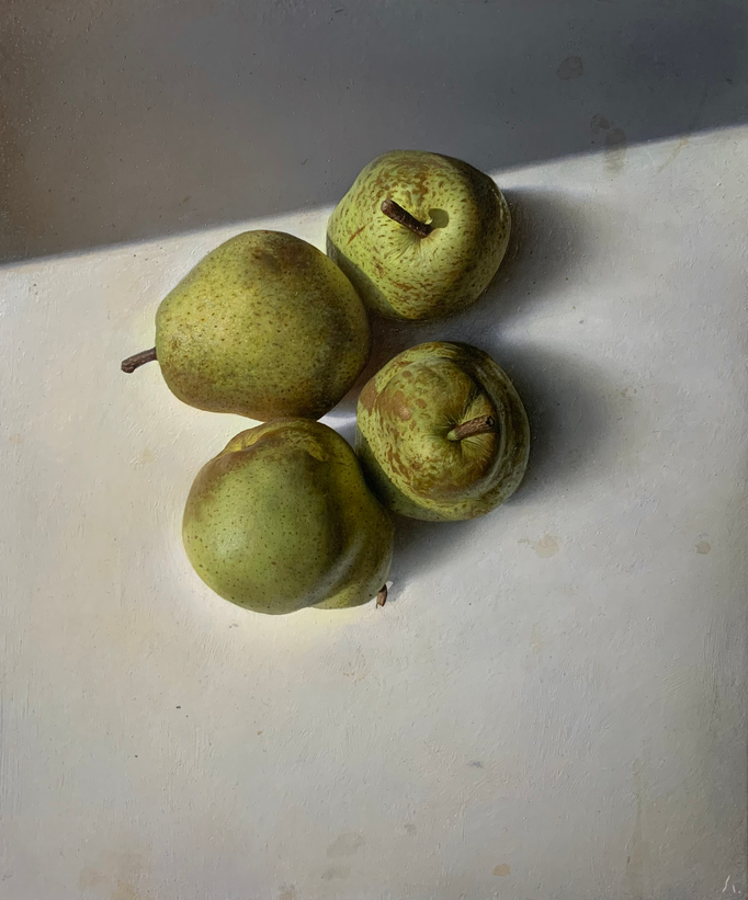 陽光 | 2022 | 455×380㎜ | Oil on panel |個人蔵