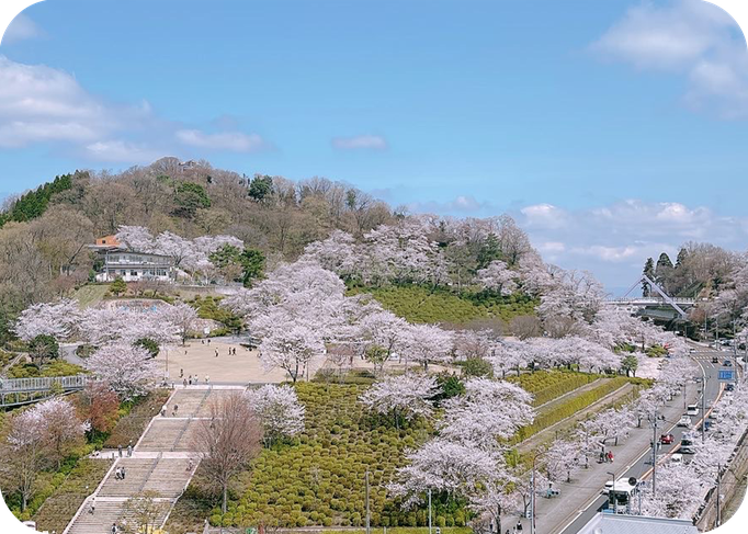 春の景色