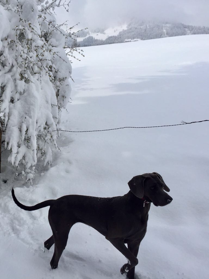 Schnee ist immer gut