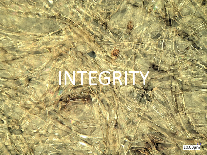 Integrity: We always act with integrity, show courage and have confidence in our own abilities