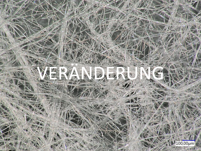 Veränderung: Wir antizipieren, initiieren und schätzen Veränderungen und nutzen die hohe Antriebskraft des kontinuierlichen Wandels zur Innovation
