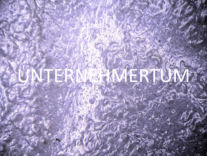 Unternehmertum: Wir handeln unternehmerisch durch die Übernahme von Initiative und Verantwortung und setzen dabei kritisches und ökonomisches Beurteilungsvermögen ein