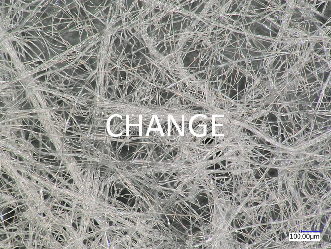 Change: We anticipate, initiate and appreciate change and use the high driving force of continuous change to innovate