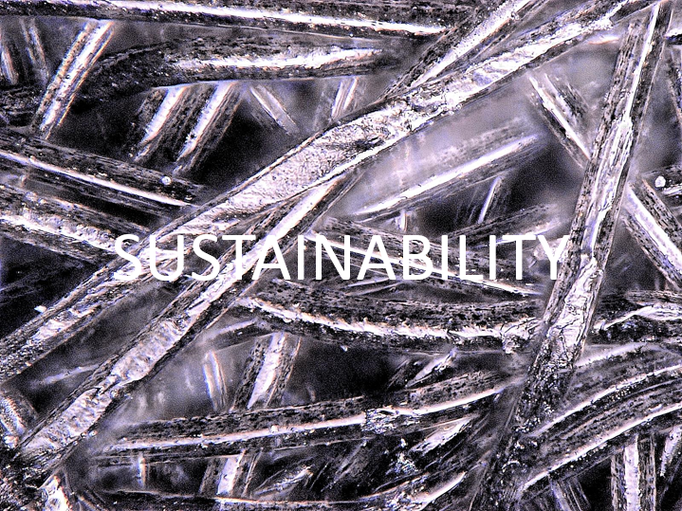 Sustainability: We create sustainable value for our customers, the company and society on the basis of continuous innovation and good decision-making authority