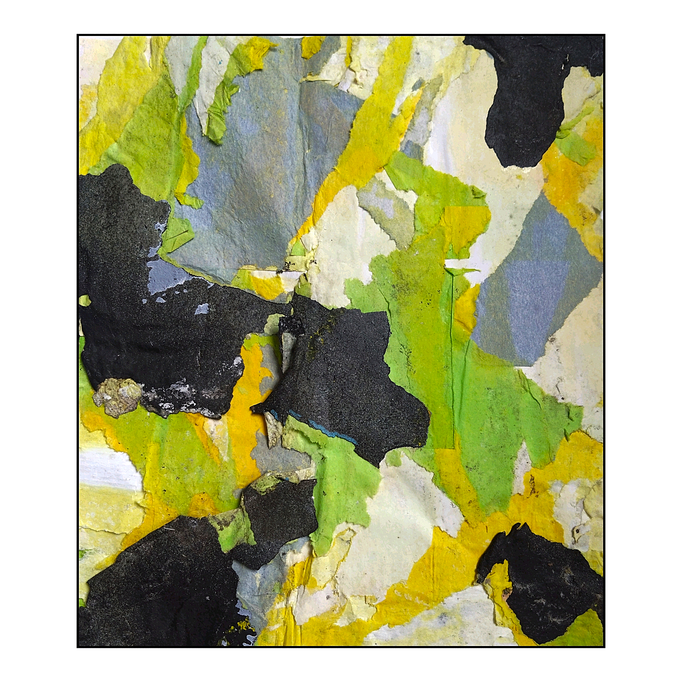 Kuh, décollage, 19,3 x 16,4 cm, 2026 (Hamburg, DE)