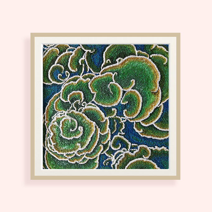 Corals