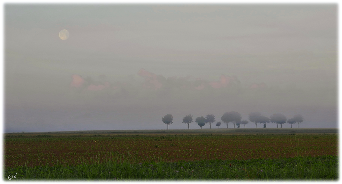 Mond - Wolken - Nebel - Land