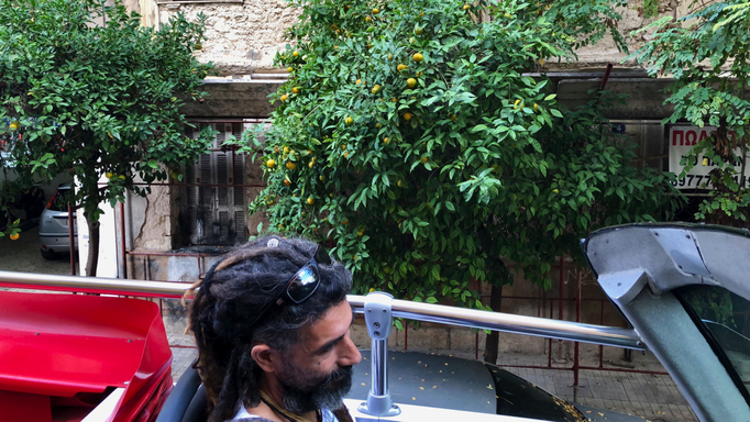 Athen '17 | Vielerorts rechts und links der Strassen: Orangenbäume, die vom Bus-Oberdeck aus «gepflückt» werden können.