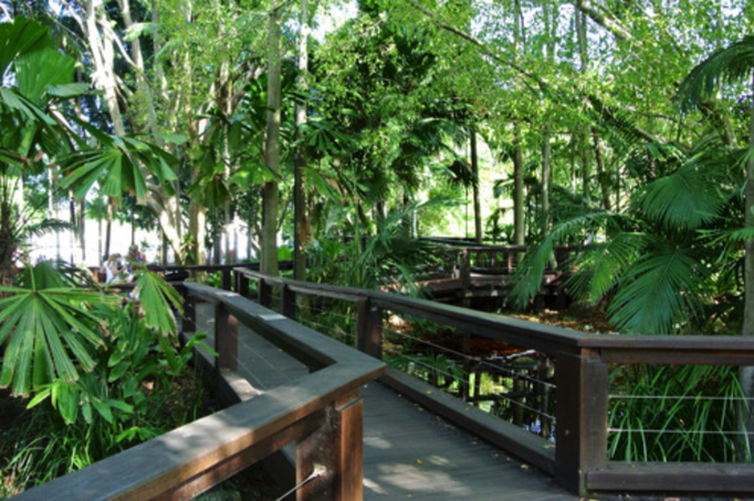 Australien '14 | Brisbane, Queensland: South Bank Parklands, Musgrave Park. Herrlich in tropischer Umgebung schlendern zu können.