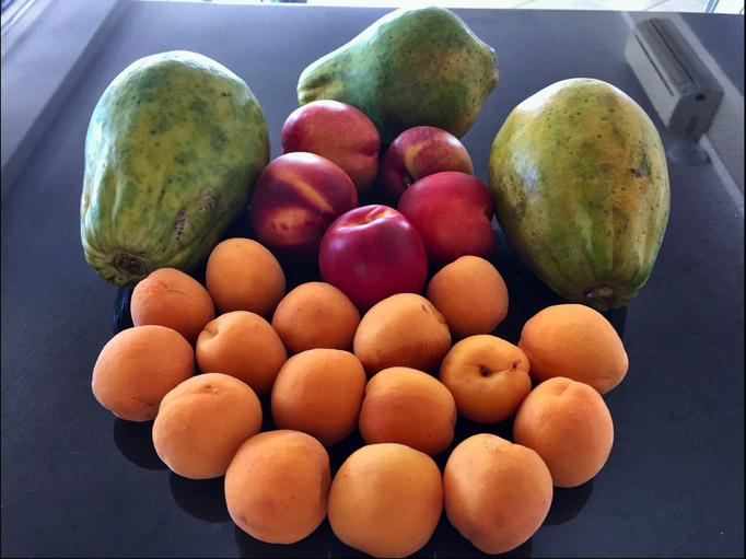 2018 | Kapstadt | «Icon-Building», «Food Lovers Market»: Unser «Fünfliberbild» - 1 kg Aprikosen, 1 kg Nektarinen und 1,6 kg Papaya für umgerechnet 5 Franken.