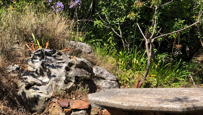 2020 | Kapstadt | Westkap, Tafelberg Nationalpark, «Silvermine Dam»: Einer der vielen Picknick-Plätze rund um den Damm.