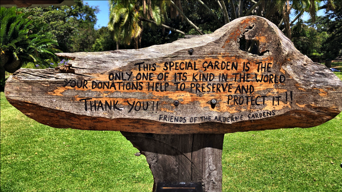 2020 | Kapstadt | Westkap, Claremont, «Arderne Botanical Gardens»: Jede Spende lohnt sich! Die «Gardens» werden wirklich liebevoll gehegt & gepflegt.