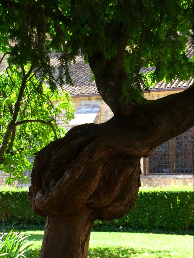 2015 | Fahrradtour «Burgund», Beaune: Garten hinter der Basilika «Notre Dame».