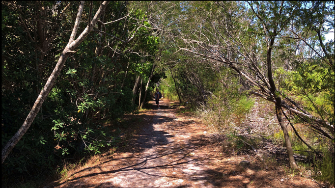 2020 | Kapstadt | Westkap, Tafelberg Nationalpark, «Silvermine Dam»: Naturschutzgebiet. Hier begeistert uns die Stille, die Natur und die relative Einsamkeit.