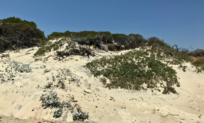 2017 | Kapstadt | Milnerton, «Woodbridge Island»: In den Dünen entdeckt ... 