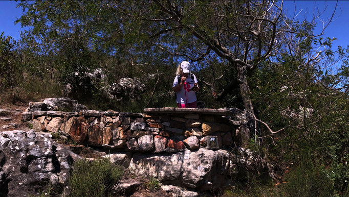 2020 | Kapstadt | Westkap, Tafelberg Nationalpark, «Silvermine Dam»: Überall gepflegt angelegte Picknick- und Grillplätze. Grillen aktuell verboten!