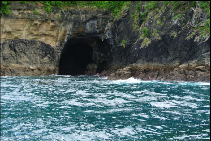2014 | NZ Nordinsel | «Leigh», Auckland Region, Rodney District: «Fish Watching» im Glasbodenboot. Durch diese Höhle kann man unter der Insel durchschwimmen.