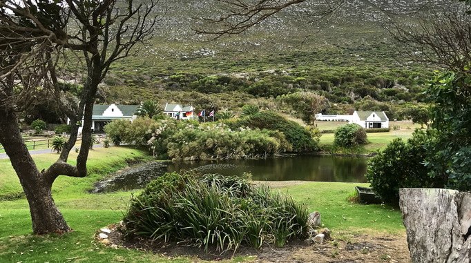 2017 | Kapstadt | «Kap  der guten Hoffnung»: Private Straussenfarm etwa 400 m vom Haupteingang zum Nationalpark «Cape of Good Hope» entfernt. Bestand ca. 800 Tiere.