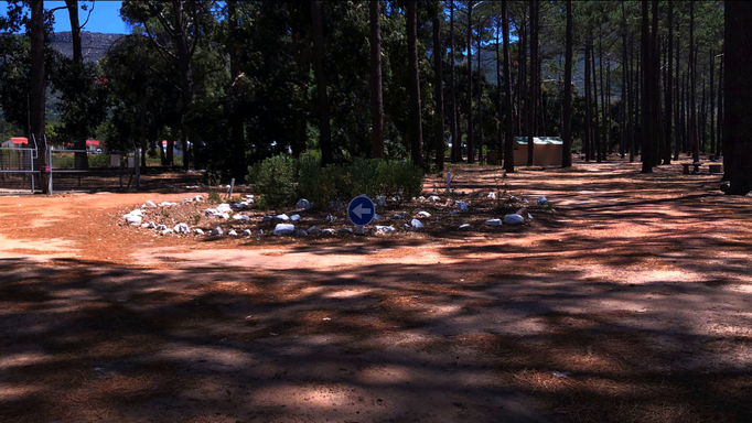 2020 | Kapstadt | Westkap, Tafelberg Nationalpark. Naturschutzgebiet: Ein Kreisel auf einem Parkplatz mitten im Wald. - «Zu welchem Zweck?»