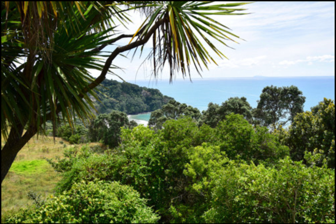 2015 | Neuseeland | «Ohope Beach», Whakatane, Bay of Plenty: In den Mid-Sixties mein tägliches Surf-Revier.