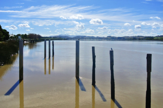 2014 | NZ Nordinsel | «Dargaville», Kaipara District: «Wairoa River».