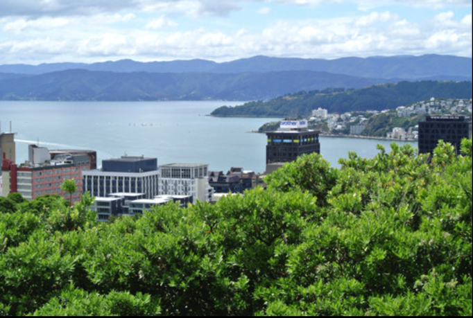 2014 | NZ Nordinsel | «Wellington», Wellington Region: Blick vom «Mt Victoria» in Richtung «Oriental Bay».