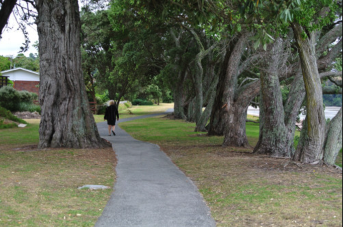 2014 | NZ Nordinsel | «Snells Beach», Warkworth, Mahurangi: Kilometer langes Spazieren entlang der «Kawau Bay».