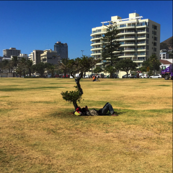 2016 | Kapstadt | «Sea Point Promenade»: Selbst der kleinste Baum ist als Schattenspender noch gut genug.