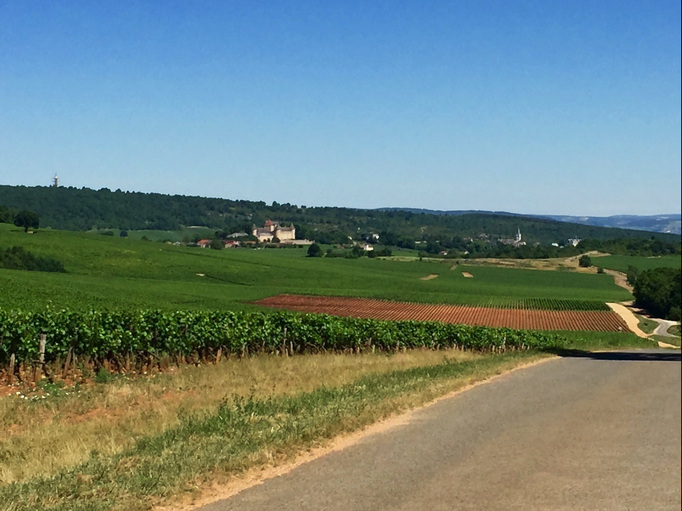 2015 | Fahrradtour «Burgund», Mercurey: Mit dem eBike bei 41° C durch die Burgunder Rebberge.