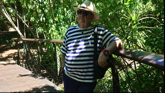 2017 | Kapstadt | Kirstenbosch, «National Botanical Gardens»: Am Osthang des Tafelbergs. Auf dem «Centenary Tree Canopy Walkway». Gemütlicher Spaziergang «durch/über die Baumkronen».