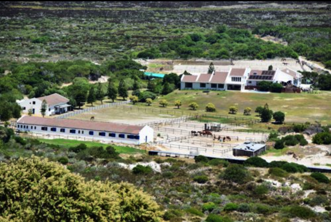 2015 | Südafrika | Westkap, Noordhoek: Mit dem Tele zufällig entdeckt. Stattliche Pferdefarm.