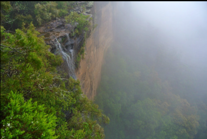 Australien '14 | Fitzroy Falls, New South Wales: Normalerweise sehr spektakulär. Bei uns regnete es und war sehr dunstig. Ganz schlechte Sicht. Schade!