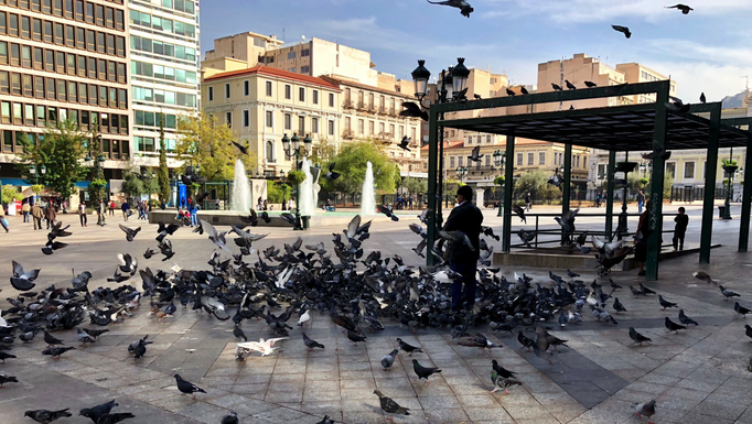 Athen '17 | Widersprüchliche Tradition: Taubenfüttern.