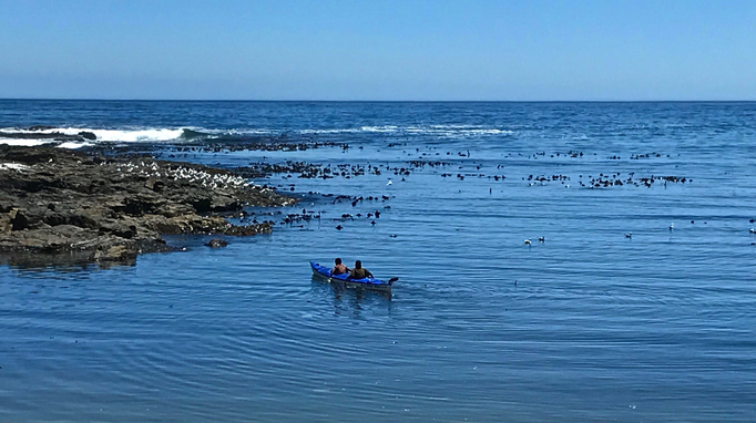 2017 | Kapstadt | «Green Point», «Three Anchor Bay»: Diese beiden Jungs haben offensichtliche ihre Paddels verloren. Sie paddeln «von Hand».
