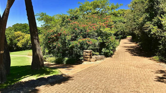 2017 | Kapstadt | Kirstenbosch, «National Botanical Gardens»: Am Osthang des Tafelbergs. Zwischendurch «herbstliche Blütenpracht».