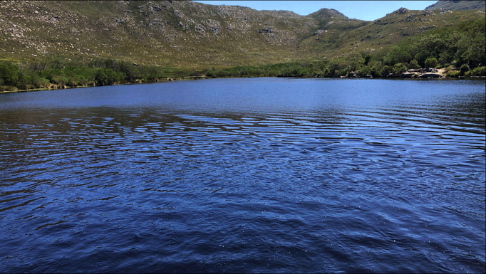 2020 | Kapstadt | Westkap, Tafelberg Nationalpark, «Silvermine Dam»: Es ist schwierig, sich satt zu sehen!