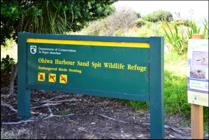 2015 | Neuseeland | «Ohope Beach», Whakatane, Bay of Plenty: Wie überall in NZ kümmert man sich aktiv um die «eigene» Natur. Vorbildlich!