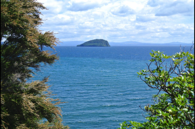 2014 | NZ Nordinsel | «Lake Taupo», Taupo district, Waikato: «Mototaiko Island».