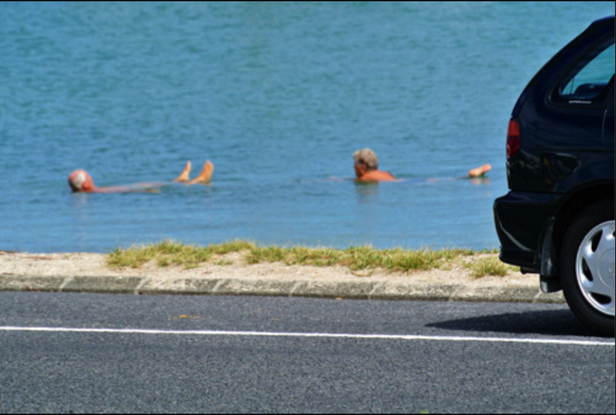 2014 | NZ Nordinsel | Auckland, Bucklands Beach, «Half Moon Bay»: Typisch «Kiwi» - Mit dem Auto «wo's gerade passt» an's Wasser, umziehen, schwimmen, umziehen, weiter Fahren.