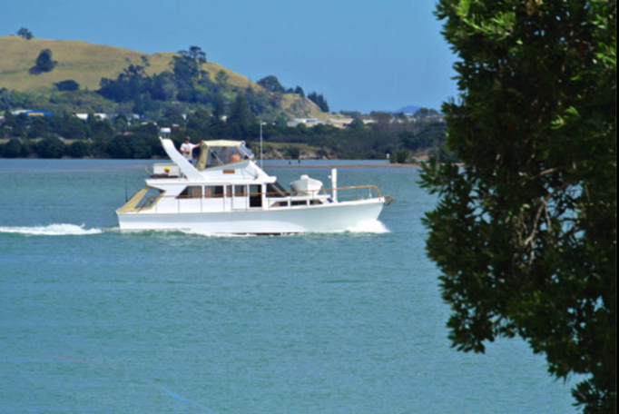 2014 | NZ Nordinsel | Auckland, Bucklands Beach, «Half Moon Bay»: «Gartenblick».